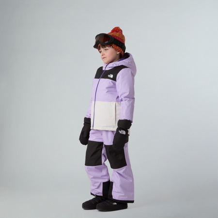 Kurtka narciarska dziecięca The North Face FREEDOM INSULATED fioletowa NF0A88VKE15