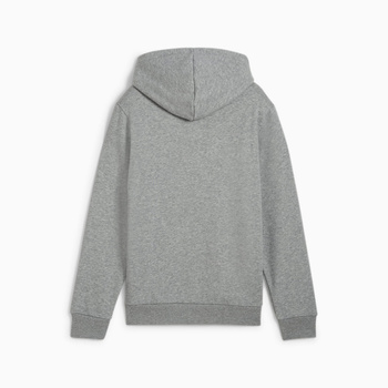 Bluza z kapturem chłopięca Puma POWER GRAPHIC FL szara 68185903