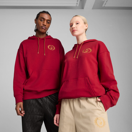 Bluza z kapturem męska Puma X HARRY POTTER RELAXED GRAPHIC bordowa 63009313