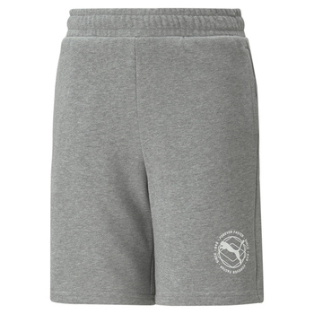 Spodenki chłopięce Puma ACTIVE SPORTS TR szare 67320703