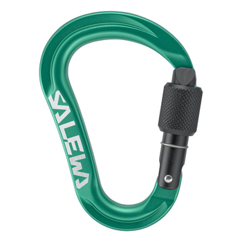 Karabinek wspinaczkowy unisex Salewa ORTLES HMS S zielony 00-0000072001_5210