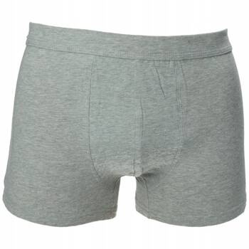 Bokserki męskie Fila BASIC 2-PACK szare FU5039-2-400