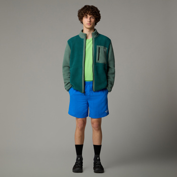 Kąpielówki męskie The North Face WATER niebieskie NF0A5IG5T4S