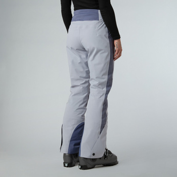 Spodnie narciarskie damskie The North Face LENADO szare NF0A8DEYEHA