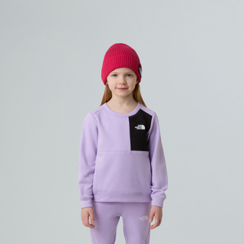Komplet dresowy dziecięcy The North Face PERFORMANCE FLEECE fioletowy NF0A8CV0QZI