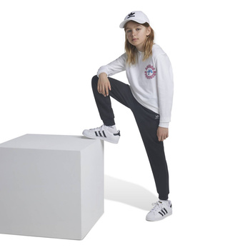 Spodnie dresowe dziecięce adidas KIDS czarne IW3498