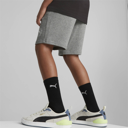 Spodenki chłopięce Puma ACTIVE SPORTS TR szare 67320703