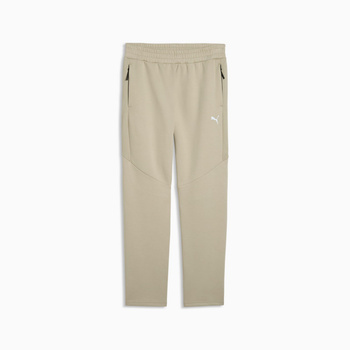 Spodnie dresowe męskie Puma EVOSTRIPE DK beżowe 69219161