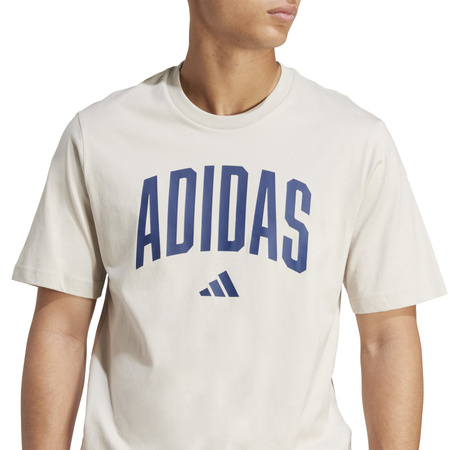 Koszulka treningowa męska adidas COLLEGIATE beżowa JM6415