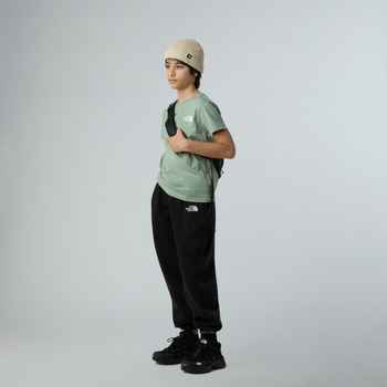Koszulka dziecięca The North Face S/S SIMPLE DOME zielona NF0A87T4BQ1