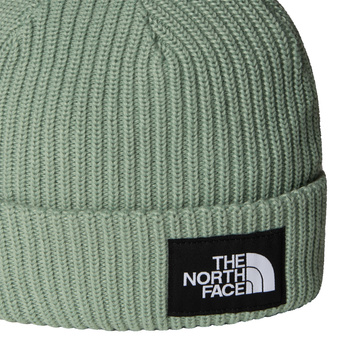 Czapka zimowa dziecięca The North Face SALTY LINED zielona NF0A8CGSBQ1