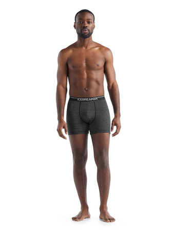 Bokserki męskie Icebreaker ANATOMICA czarne IB103029038