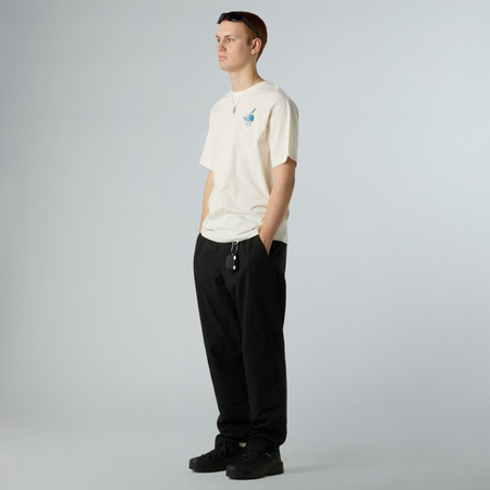 Koszulka unisex The North Face POWDER DAYS RELAXED GRAPHIC beżowa NF0A8E4DQLI