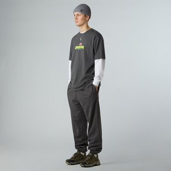 Koszulka unisex The North Face EXPEDITION CELEBRATION OVERSIZED szara NF0A8E3CRHI