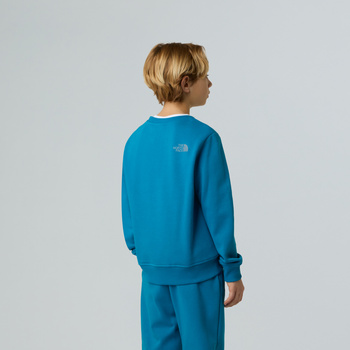 Bluza chłopięca The North Face REFLECTIVE LOGO RELAXED CREW niebieska NF0A8EATBOM