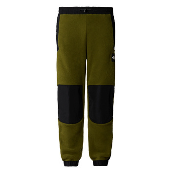 Spodnie dresowe polarowe męskie The North Face FLEESKI Y2K zielone NF0A879MPIB