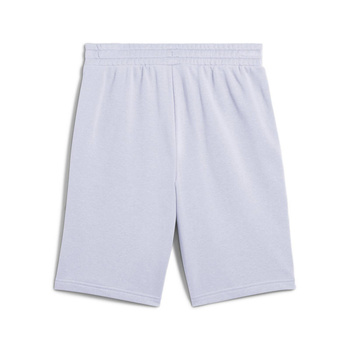 Spodenki męskie Puma ESS 2 COLOR NO.1 LOGO TR szare 68471547