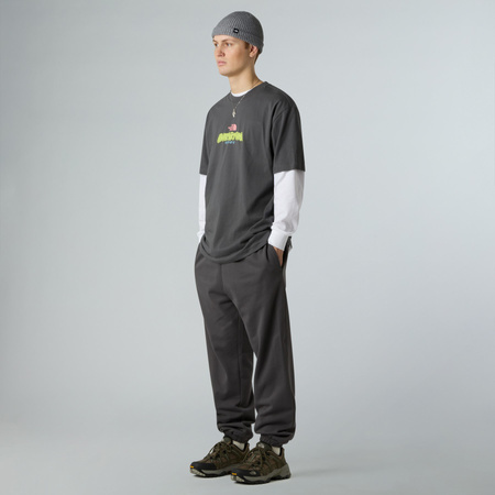 Koszulka unisex The North Face EXPEDITION CELEBRATION OVERSIZED szara NF0A8E3CRHI
