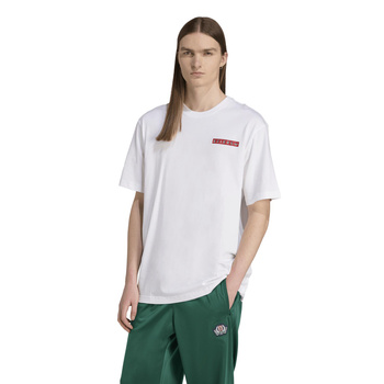 Koszulka męska adidas GRAPHIC biała JX3094