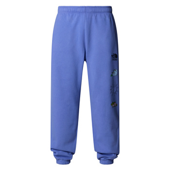 Spodnie dresowe damskie The North Face MOUNTAIN CLEANUP fioletowa NF0A8C2W0YI