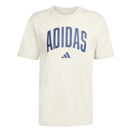 Koszulka treningowa męska adidas COLLEGIATE beżowa JM6415