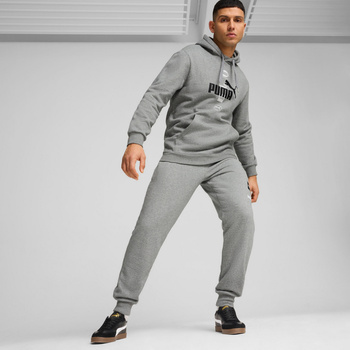 Bluza z kapturem męska Puma POWER GRAPHIC FL szara 68174103