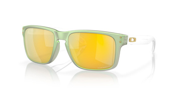 Okulary przeciwsłoneczne unisex Oakley HOLBROOK zielone OO9102-Y0