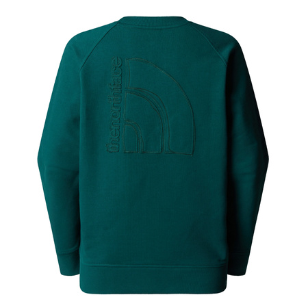 Bluza damska The North Face LOGO RMST zielona NF0A8C396GI