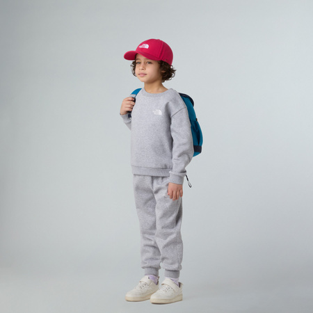 Komplet dresowy dziecięcy The North Face SIMPLE DOME FLEECE szary NF0A8EFMDYX