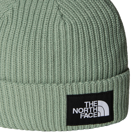 Czapka zimowa dziecięca The North Face SALTY LINED zielona NF0A8CGSBQ1