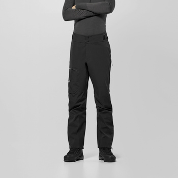 Spodnie trekkingowe męskie Salewa ORTLES czarne 00-0000029188_0910