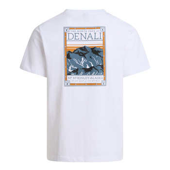 Koszulka męska The North Face REG GRAPHIC biała NF0A8GUWFN4