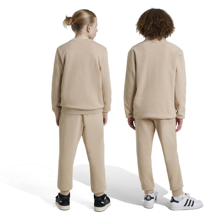 Spodnie dresowe dziecięce adidas KIDS beżowe IX5296