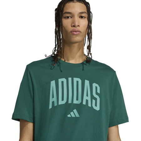 Koszulka treningowa męska adidas COLLEGIATE zielona KA7135