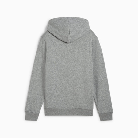 Bluza z kapturem chłopięca Puma POWER GRAPHIC FL szara 68185903
