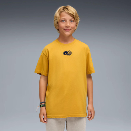 Koszulka chłopięca Puma X SONIC RELAXED GRAPHIC złota 63238162