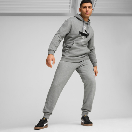 Bluza z kapturem męska Puma POWER GRAPHIC FL szara 68174103