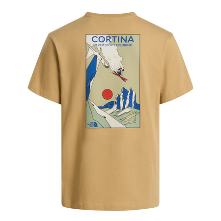 Koszulka męska The North Face MOUNTAIN CELEBRATION REGULAR brązowa NF0A8G9ZLK5