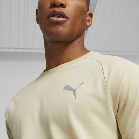 Koszulka męska Puma EVOSTRIPE beżowa 67331188