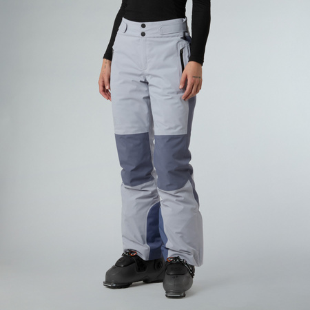 Spodnie narciarskie damskie The North Face LENADO szare NF0A8DEYEHA