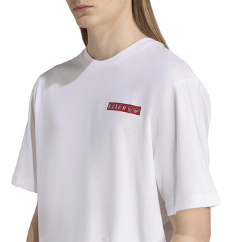 Koszulka męska adidas GRAPHIC biała JX3094