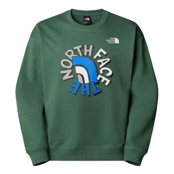 Bluza unisex The North Face NSE zielona NF0A8C3UHCH