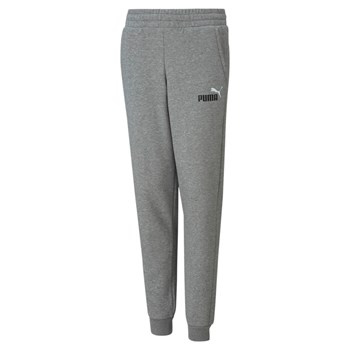 Spodnie dresowe chłopięce Puma ESS+ 2 COL LOGO FL szare 58698803
