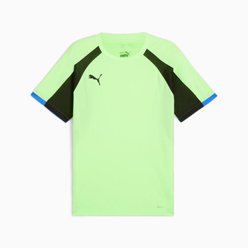 Koszulka męska Puma INDIVIDUALLIGA JERSEY zielona 65952602