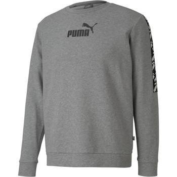 Bluza męska Puma Core AMPLIFIED CREW TR szara 58139103