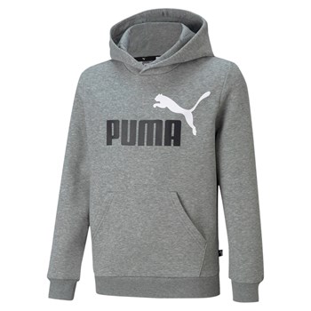 Bluza z kapturem chłopięca Puma ESS+ 2 COL BIG LOGO szara 58698703