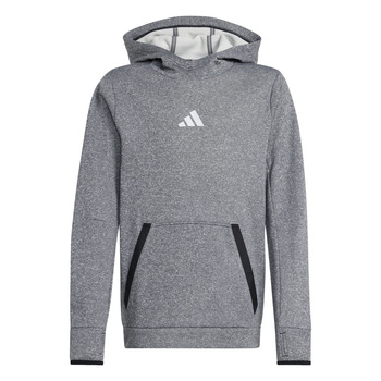 Bluza z kapturem dziecięca adidas KIDS szara IV9493