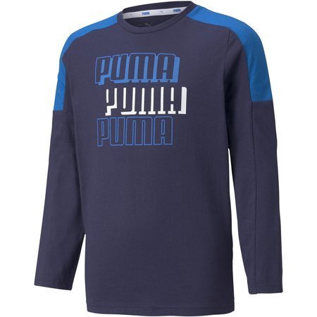 Bluza chłopięca Puma Core Alpha wielokolorowa 58926406