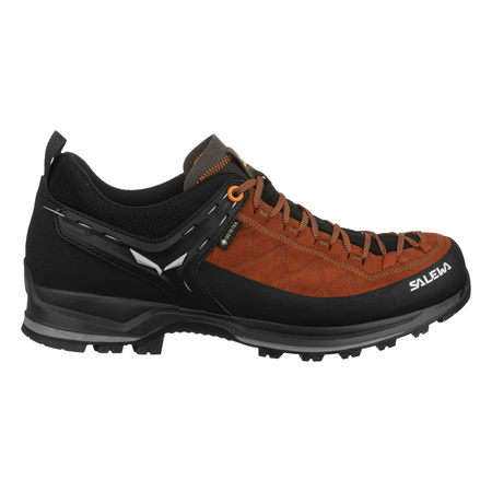 Buty podejściowe męskie Salewa MOUNTAIN TRAINER 2 wielokolorowe 00-0000061356_7519