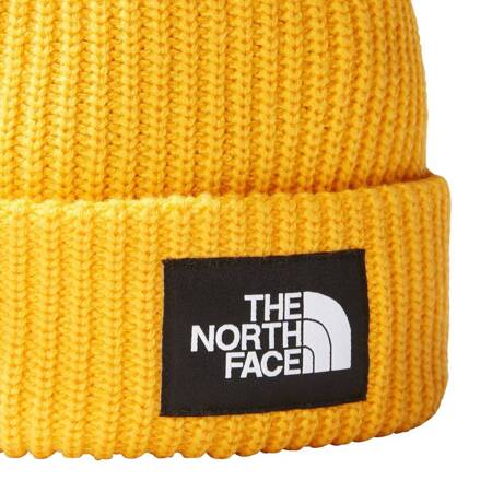 Czapka Zimowa The North Face SALTY LINED BEANIE NF0A3FJW56P